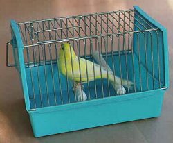Canary in Carrying Cage