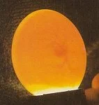 eggg