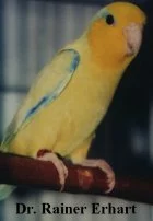 smamyell
